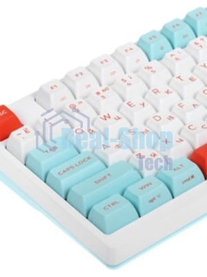 Клавиатура проводная A4Tech Fstyler FS300 (FS300 PANDA SNOWBOARDING), USB, белый/синий