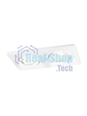 Встраиваемый поворотный точечный светильник Ambrella light TN102626/2 WH белый GU5.3 175*95*28