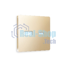 Лицевая панель ALFA (Шампань) для розетки 2USB тип A+C QUANT AP6110