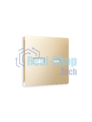 Лицевая панель ALFA (Шампань) для розетки 2USB тип A+C QUANT AP6110