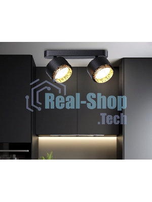 Светильник Ambrella light TN71288/2 BK/GD черный/золото GX53/2 max 12W 270*95*137
