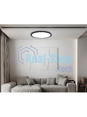 Светильник светодиодный ультратонкий Ambrella light FZ1910 BK черный IP54 44W 3000K-6500K CCT-переключатель D600*25 (Без ПДУ)