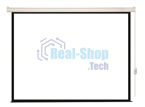 Экран с электроприводом Lumien Eco Control 220x220 см (раб. область 214х214 см) Matte White черная кайма по периметру 1:1