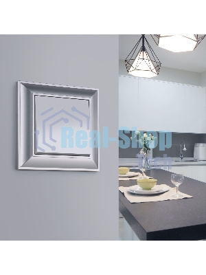 Рамка на 1 пост (серебряный) W0012206