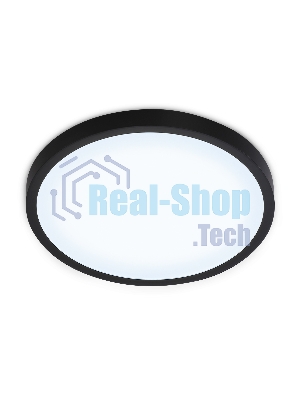 Светильник светодиодный ультратонкий Ambrella light FZ1953 BK черный IP54 20W 5000K D270*15 (Без ПДУ)
