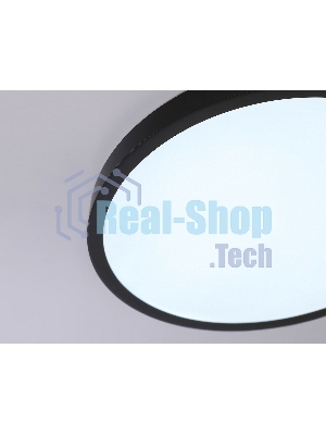 Светильник светодиодный ультратонкий Ambrella light FZ1953 BK черный IP54 20W 5000K D270*15 (Без ПДУ)