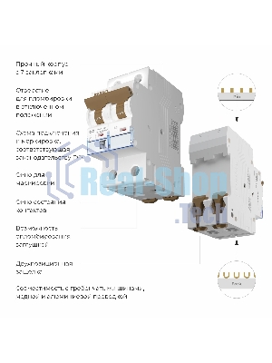 Автоматический выключатель Werkel 2P  63 A  C  6 кА W902P636