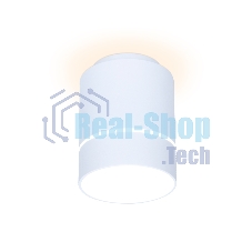 Светильник Ambrella light TN255 WH/S белый/песок LED 4200K 7W D80*110
