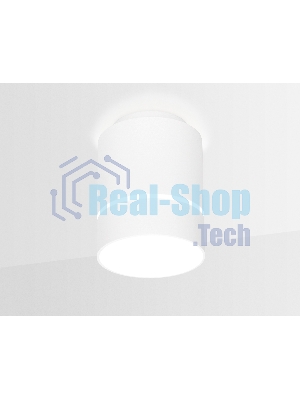 Светильник Ambrella light TN255 WH/S белый/песок LED 4200K 7W D80*110
