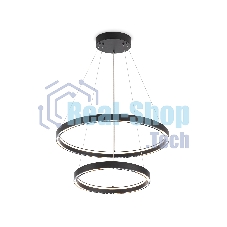 Подвесной светодиодный светильник Ambrella light FL5865/2 BK черный 45W 3000K/4200K/6400K D600/400*830 (без ПДУ)
