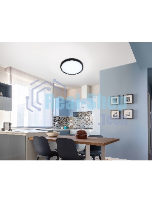 Светильник светодиодный ультратонкий Ambrella light FZ1953 BK черный IP54 20W 5000K D270*15 (Без ПДУ)