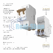 Автоматический выключатель Werkel 2P  50 A  C  6 кА W902P506