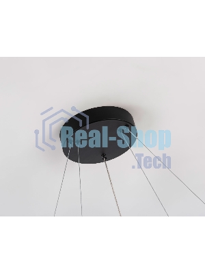 Подвесной светодиодный светильник Ambrella light FL5865/2 BK черный 45W 3000K/4200K/6400K D600/400*830 (без ПДУ)