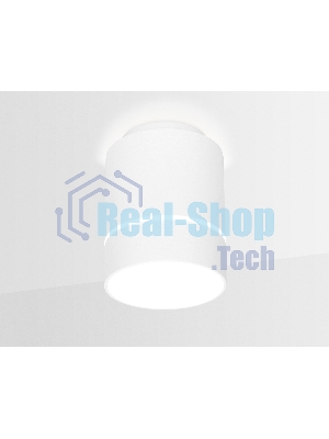 Светильник Ambrella light TN256 WH/S белый/песок LED 4200K 7W D80*135
