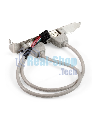 Планка портов в корпус 2xUSB2.0 ExeGate BrctUSB2-2A (USB 2.0 9pin (IDC 9pin F) --> 2x USB 2.0 Af, кабель 20 см)