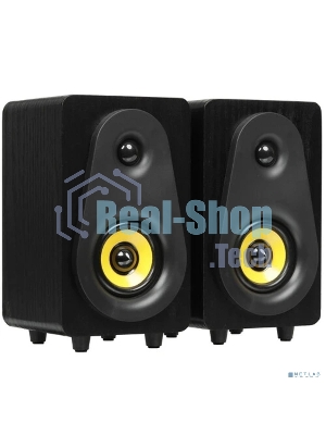 Портативная колонка Ritmix SP-3040W