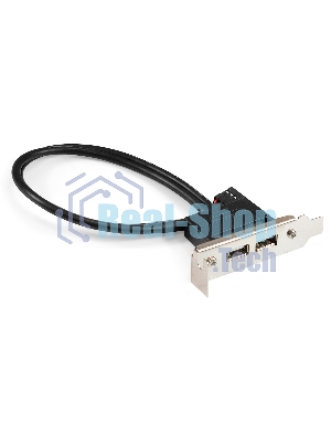 Планка портов в корпус 2xUSB 2.0 ExeGate BrctUSB2-2A-LP (USB 2.0 9pin (IDC 9pin F) --> 2x USB 2.0 Af, кабель 20 см, Low Profile)
