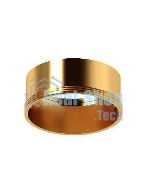Насадка для корпуса светильника N6113 PYG золото желтое полированное D60*H30mm Out0mm MR16