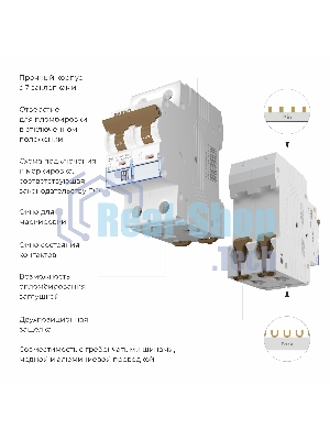 Автоматический выключатель Werkel 2P  16 A  C  6 кА W902P166