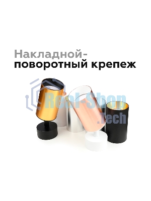 Насадка для корпуса светильника N6113 PYG золото желтое полированное D60*H30mm Out0mm MR16