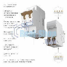 Автоматический выключатель Werkel 2P  10 A  C  6 кА W902P106
