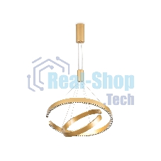 Подвесной светодиодный светильник Ambrella light FL5885/2 GD золото 45W 3000K/4200K/6400K D600/400*1200 (без ПДУ)