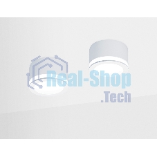 Светильник Ambrella light TN265 WH белый LED 4200K 12W D96*70