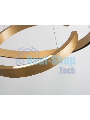 Подвесной светодиодный светильник Ambrella light FL5885/2 GD золото 45W 3000K/4200K/6400K D600/400*1200 (без ПДУ)