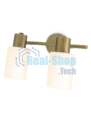 Светильник Ambrella light TR3969/2 BS/FR латунь/белый матовый  E27*2 max 40W 260*80*210