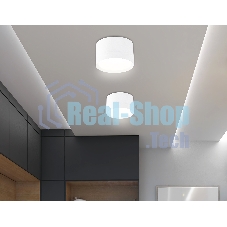 Светильник Ambrella light TN52351 WH белый GX53 max 12W D83*50