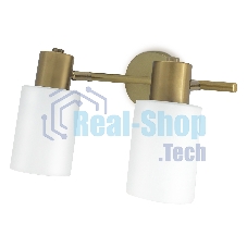 Светильник Ambrella light TR3969/2 BS/FR латунь/белый матовый  E27*2 max 40W 260*80*210