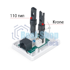 Розетка в сборе Cabeus, 1x RJ45(8P8C), кат. 6, неэкр., внешняя, белый, (WS-8P8C-Cat.6-1)