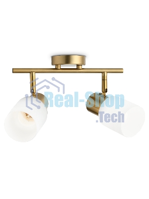 Светильник Ambrella light TR3969/2 BS/FR латунь/белый матовый  E27*2 max 40W 260*80*210