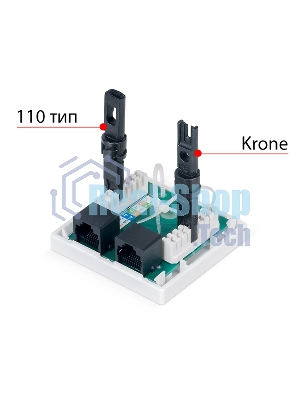 Розетка в сборе Cabeus, 2x RJ45(8P8C), кат. 6, неэкр., внешняя, белый, (WS-8P8C-Cat.6-2)