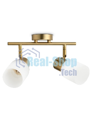 Светильник Ambrella light TR3969/2 BS/FR латунь/белый матовый  E27*2 max 40W 260*80*210