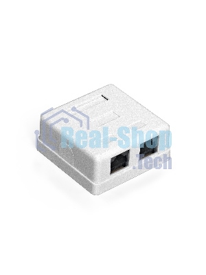 Розетка компьютерная двойная ExeGate SM2-RJ45-C5 RJ-45 кат.5/5E UTP Krone/110