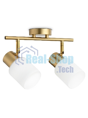 Светильник Ambrella light TR3969/2 BS/FR латунь/белый матовый  E27*2 max 40W 260*80*210