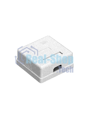 Розетка компьютерная двойная ExeGate SM2-RJ45-C5 RJ-45 кат.5/5E UTP Krone/110