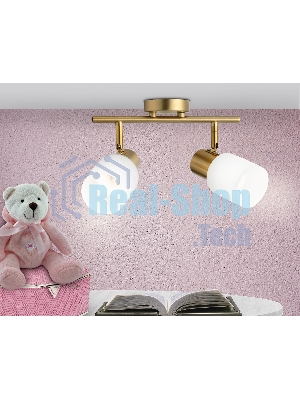 Светильник Ambrella light TR3969/2 BS/FR латунь/белый матовый  E27*2 max 40W 260*80*210