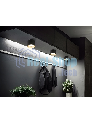 Светильник Ambrella light TN52887 SBK/SGD черный песок/золото песок GX53 max 12W D97*70