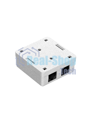 Розетка компьютерная двойная ExeGate SM2-RJ45-C5 RJ-45 кат.5/5E UTP Krone/110
