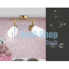 Светильник Ambrella light TR3969/2 BS/FR латунь/белый матовый  E27*2 max 40W 260*80*210