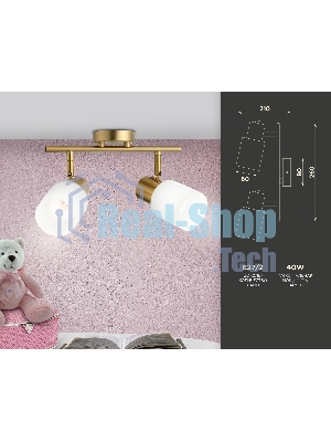 Светильник Ambrella light TR3969/2 BS/FR латунь/белый матовый  E27*2 max 40W 260*80*210