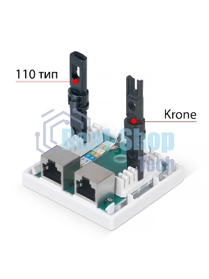 Розетка в сборе Cabeus, 2x RJ45(8P8C), кат. 5е, экр., внешняя, белый, (WS-8P8C-Cat.5e-SH-2)