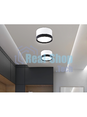 Светильник Ambrella light TN52353 WH/BK белый/черный GX53 max 12W D82*50