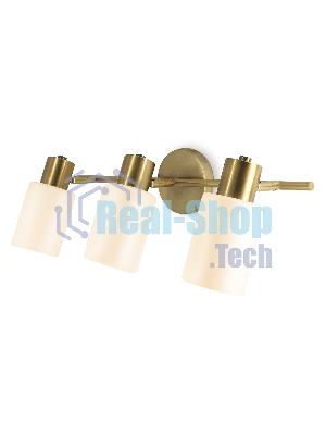 Настенно-потолочный спот TR3972/3 BS/FR латунь/белый матовый E27*3 max 40W 460*80*140