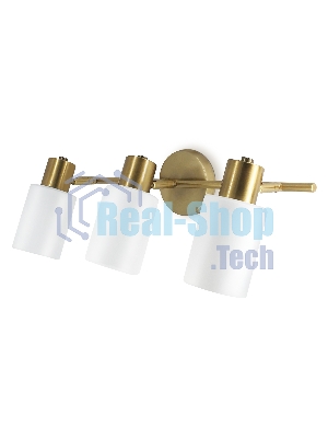 Настенно-потолочный спот TR3972/3 BS/FR латунь/белый матовый E27*3 max 40W 460*80*140