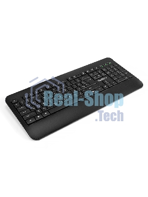 Клавиатура проводная ExeGate Professional Standard LY-E5500M, USB, черный