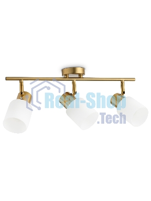 Настенно-потолочный спот TR3972/3 BS/FR латунь/белый матовый E27*3 max 40W 460*80*140