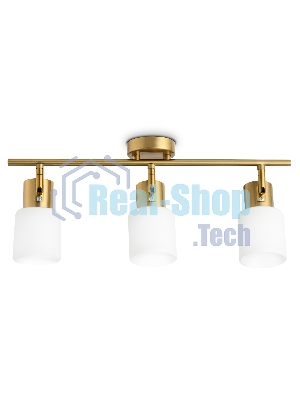 Настенно-потолочный спот TR3972/3 BS/FR латунь/белый матовый E27*3 max 40W 460*80*140